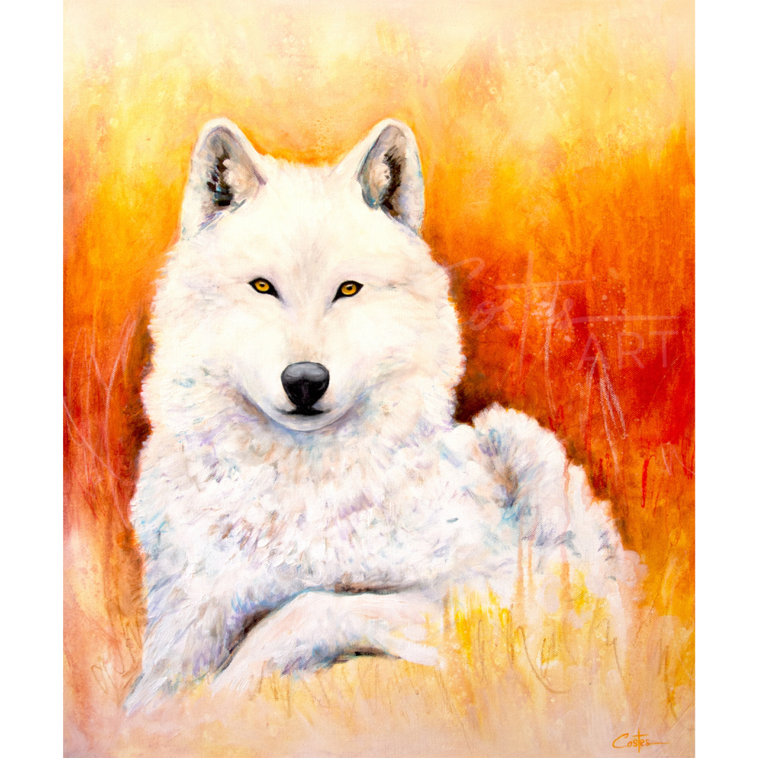 Louve de Lumière, 55x46cm