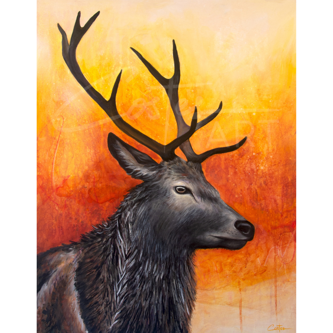 Cerf de Lumière, 60x46cm VENDU