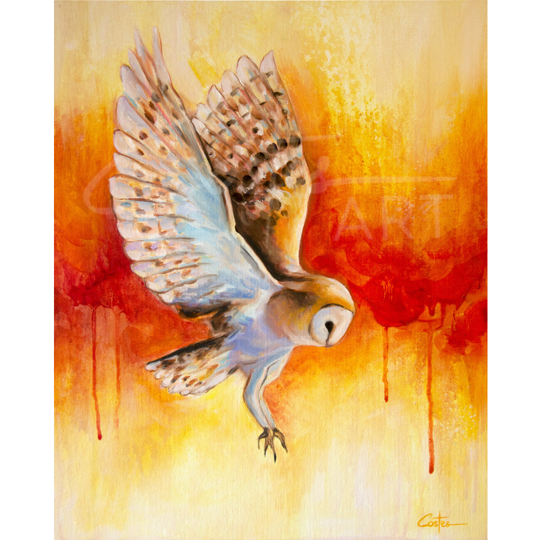 Chouette de Lumière, 41x33cm