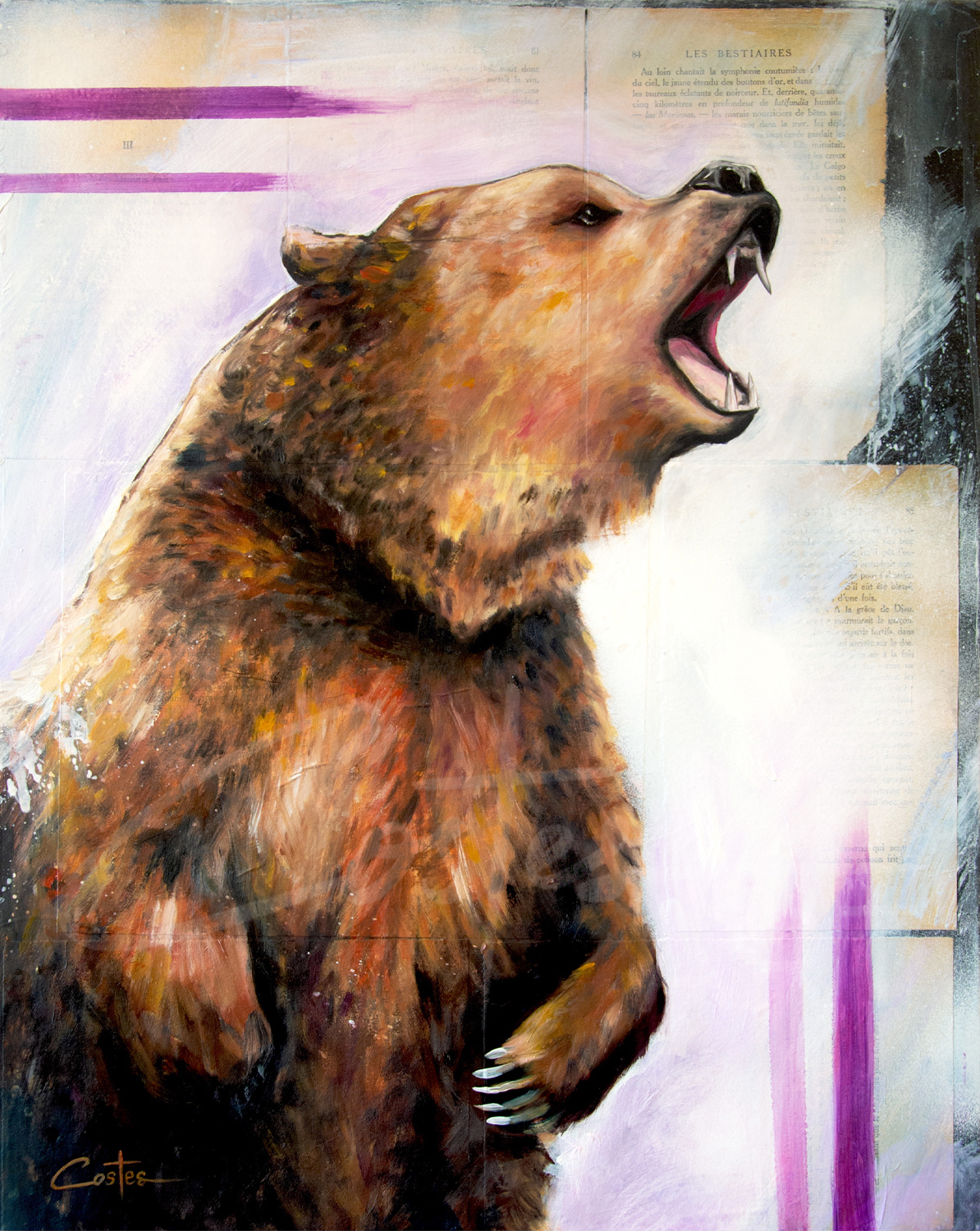 Rugissement, 50x40cm